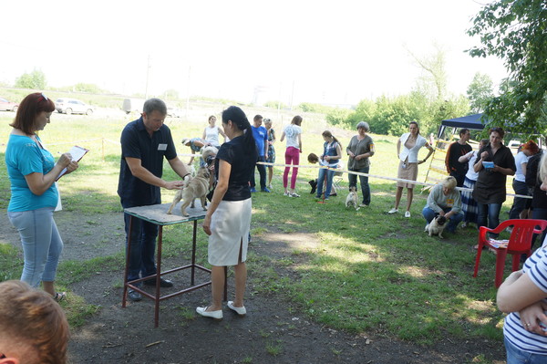DSC07731 DSC07731