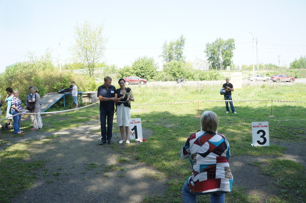 DSC07735 DSC07735