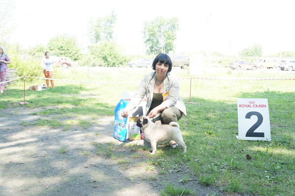 DSC07786 DSC07786