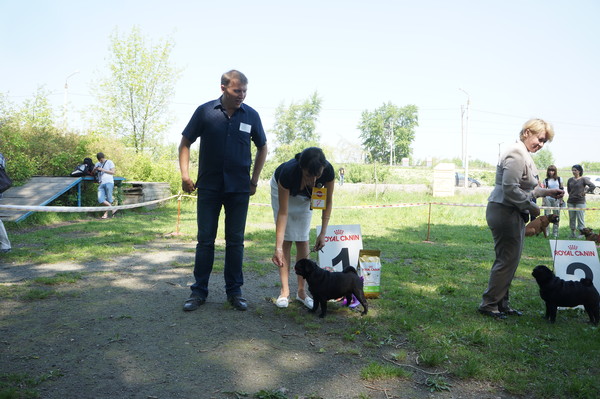 DSC07723 DSC07723