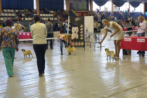 DSC08730 DSC08730
