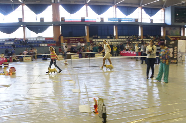 DSC08736 DSC08736