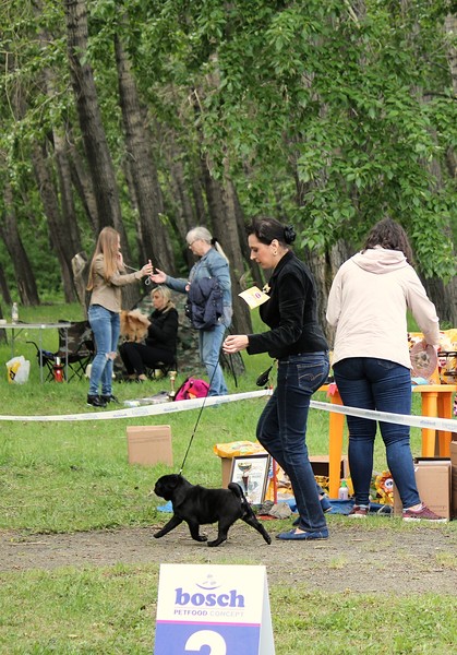 IMG_0286 IMG_0286