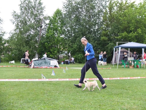 36453794_2129338220474000_3190493099801444352_n 36453794_2129338220474000_3190493099801444352_n