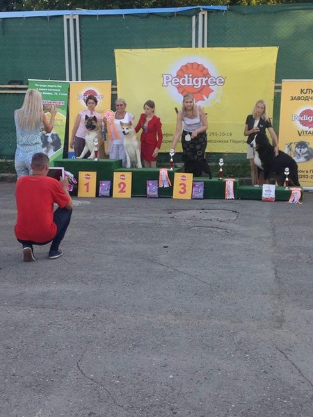 39077845_2218855298188958_7874713019844919296_n 39077845_2218855298188958_7874713019844919296_n