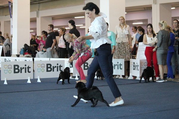 IMG_7396 IMG_7396