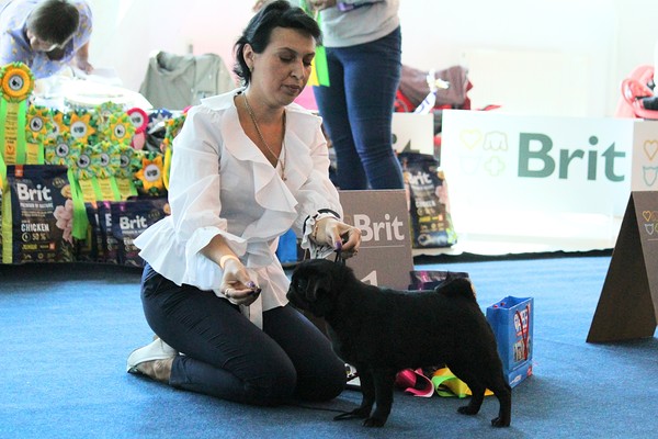 img_7423 img_7423