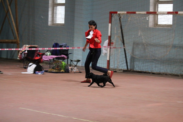 IMG_7875 IMG_7875