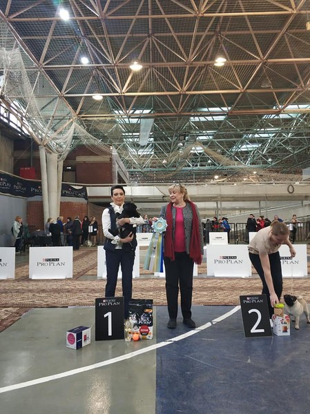 54255990_2632002180207599_2754758789197463552_n 54255990_2632002180207599_2754758789197463552_n