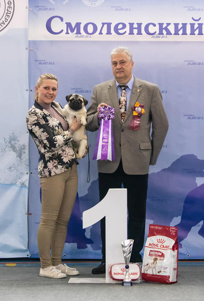 53916337_2252044794860199_8368895715019063296_n 53916337_2252044794860199_8368895715019063296_n