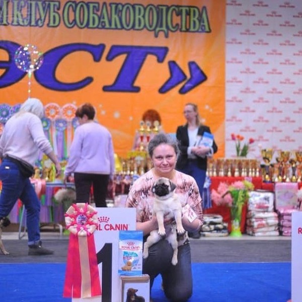 54433555_2347626462162764_8637819186678071296_n 54433555_2347626462162764_8637819186678071296_n