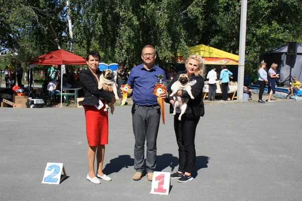 IMG-20190824-WA0013 IMG-20190824-WA0013